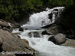 F010915: Wasserfall im Mässerbach