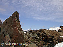 F010955: Rötlicher Felsblock
