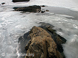 F010966: Zantmärjelesee: Eis, Wasser, Felsblöcke
