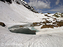 F010970: Zantmärjelesee: Winterlandschaft mit Bergsee