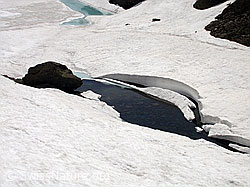 F010978: Züesee: Uferbereich mit offenen Stellen