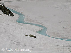 F010999: Bergsee mit Eisdecke und hellblauem Wasserstreifen