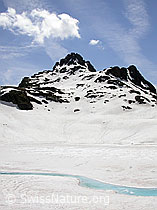 F011005: Grampielhorn und Eisdecke mit hellblauem Wasserlauf