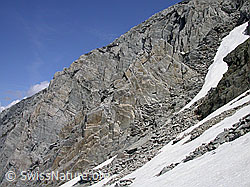 F011015: Felsband mit tafeligem Gestein