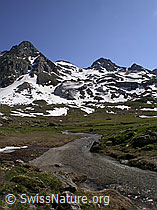 F012113: Wasserlauf bei Balme