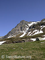 F012123: Albrunhorn von Balme