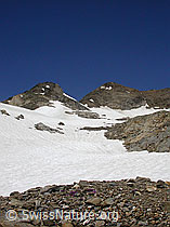 F012530: Turbhorn, Binntal