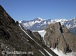 F012550: Ostgrat Turbhorn: Rappehorn und Aletschhorn