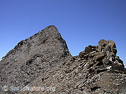 F012560: Gipfel des Turbhorn, Wallis