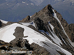 F012563: Turbhorn: Ober Rappehorn