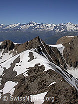 F012569: Turbhorn: Ober Rappehorn, Rappehorn, Berner Alpen