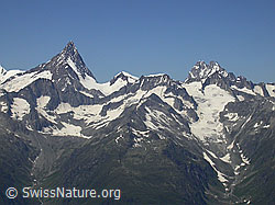 F012582: Turbhorn: Finsteraarhorn, Studerhorn, Schreckhorn