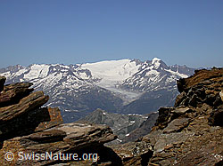 Foto: Turbhorn: Rhonegletscher, Dammastock und Galenstock
