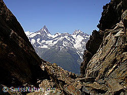 F012596: Turbhorn: Finsteraarhorn, Schreckhorn, Lauteraarhorn