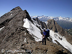 F012617: Bergsteigerin auf E-Grat des Turbhorns