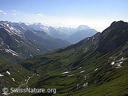 F012642: Turbealp, Binntal