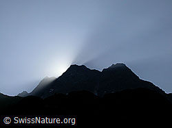 F012664: Silhouette des Ofenhorn kurz vor Sonnenaufgang