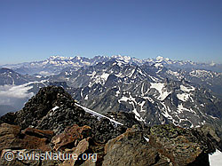 F012710: Ofenhorngipfel und Walliser Hochalpen