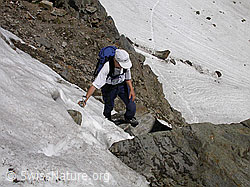F012746: Alpinistin im Aufstieg zur Eggerscharte