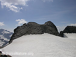 F013237: Pt. 3124 Turbechepf