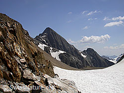 F013242: Felsen, Gletscher und Turbhorn