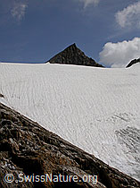 Foto: Gletscher und Bergspitze