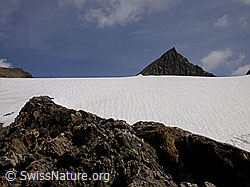 Foto: Feldbachgletscher und Turbechepf
