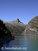 F013801: Zervreilasee und Zervreilahorn