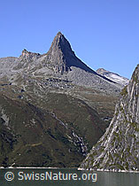F013808: Zervreilasee und Zervreilahorn