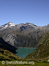 F013814: Güferhorn und Furggeltihorn und Zervreilasee