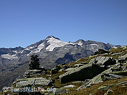F013818: Güferhorn, Rheinwaldhorn, Schwarzhorn, Furggeltihorn