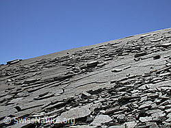 F013837: Felsplatten am Frunthorn