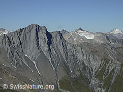 F013849: Frunthorn: Piz Terri, Piz Greina und Oberalpstock