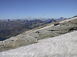 F013858: Plattiger Fels am Frunthorn und Bernina-Gruppe