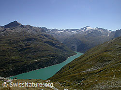 F013875: Fanellhorn, Güferhorn und Zervreilasee