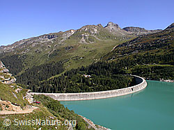 F013895: Zervreilasee mit Staumauer und Guraletschhorn