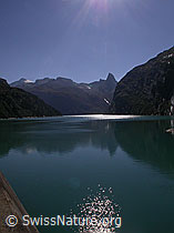 F013901: Schwache Spiegelung im Zervreilasee