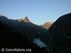 F013920: Zervreilahorn im ersten Licht des Tages. Im Schatten der Zervreilasee