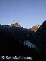 F013921: Zervreilahorn im ersten Licht des Tages