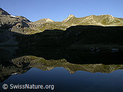 F013946: Gleichmässige Spiegelung in Bergsee