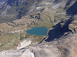 F013979: Fanellhorn: Tiefblick auf den Guraletschsee