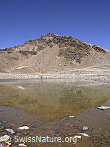 F014063: Fanellhorn mit schwacher Spiegelung in Gewässer