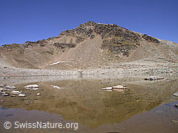 F014065: Bergseen südlich des Fanellhorn
