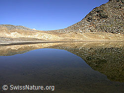 F014125: Unberührte Berglandschaft mit Spiegelung im See