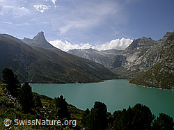 F014211: Zervreilahorn und Zervreilasee