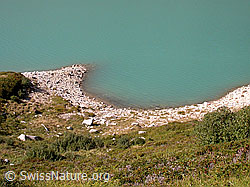 F014213: Ufer des Zervreilasee