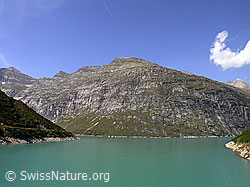 F014219: Blick über den südlichen Seitenarm des Zervreilasee