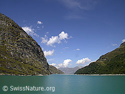 F014233: Blick über den Zervreilasee Richtung Staumauer
