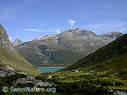 F014252: Guraletschhorn und Fanellhorn, darunter der Zervreilasee