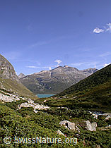 F014255: Guraletschhorn und Fanellhorn